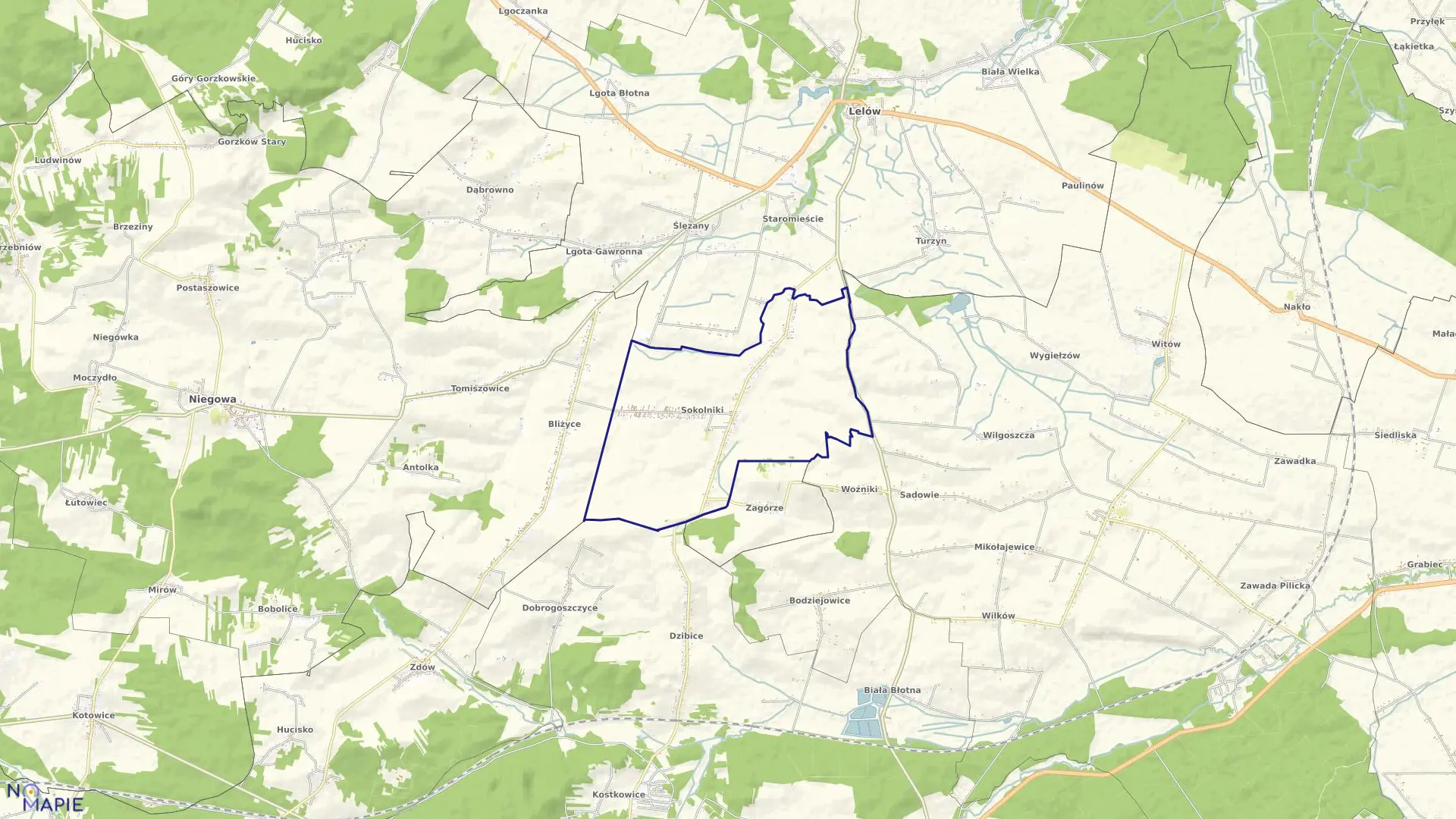 Mapa obrębu Sokolniki w gminie Niegowa